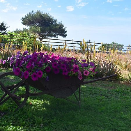 Гостевой дом Il Giardino Delle Aloe Фавиньяна Экстерьер фото