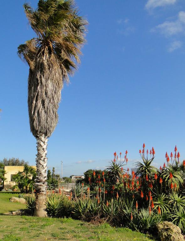 Гостевой дом Il Giardino Delle Aloe Фавиньяна Экстерьер фото