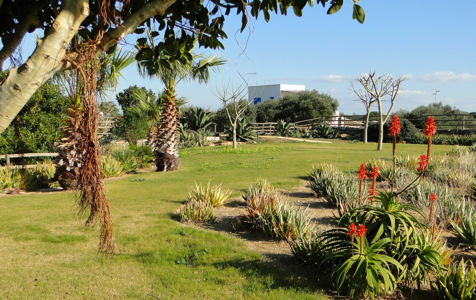 Гостевой дом Il Giardino Delle Aloe Фавиньяна Экстерьер фото