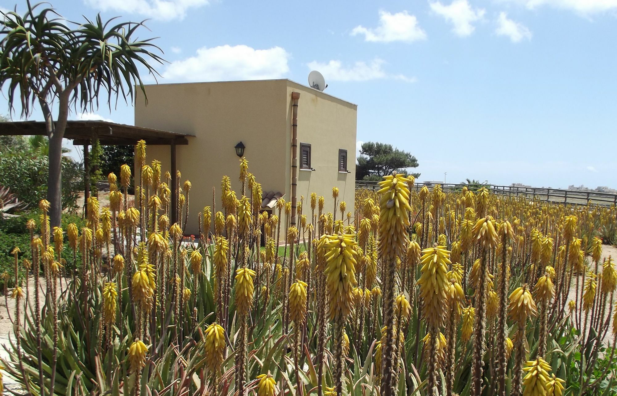 Гостевой дом Il Giardino Delle Aloe Фавиньяна Экстерьер фото